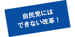 自民党にはできない改革！